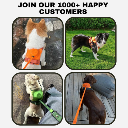 EasyPaws™ - All In One Dog Harness & Leash